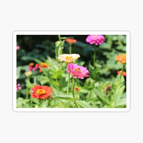 Colorful Flower Garden Sticker