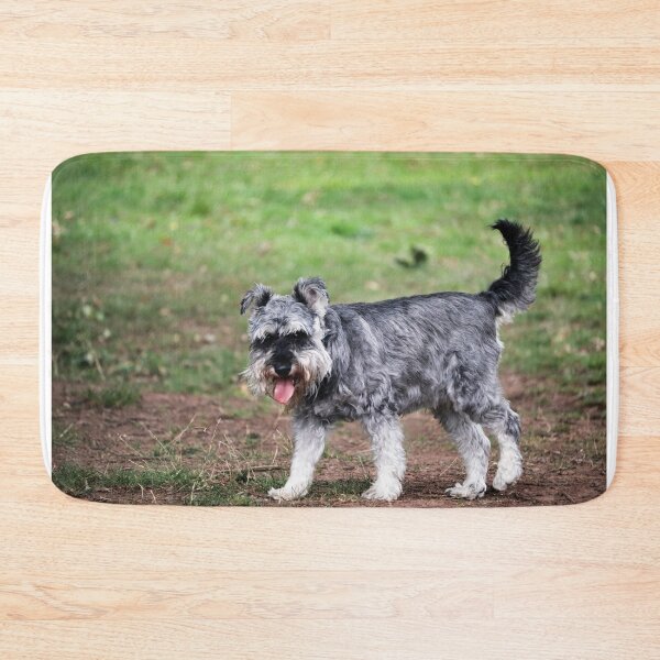 Item preview, Miniature Schnauzer Dog Portrait – Cute Schnauzer Photography Print for Dog Lovers designed and sold by leonwoods.