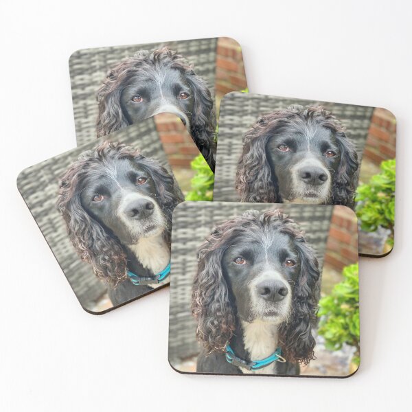 Item preview, English Cocker Spaniel Portrait – Beautiful Dog Photography Print for Pet Lovers designed and sold by leonwoods.