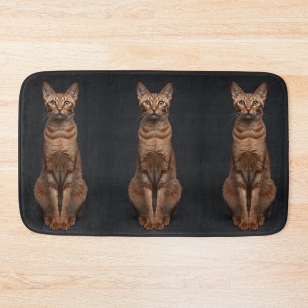 Item preview, Abyssinian – Azael | Royal Still Portrait Design | ArtivaNest Pet Verse designed and sold by ArtivaNest.