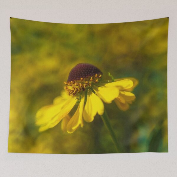 Item preview, Dancing Black-eyed Susan designed and sold by Kasia Design.