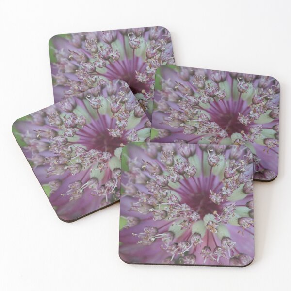 Item preview, Astrantia designed and sold by BBleanncreation.