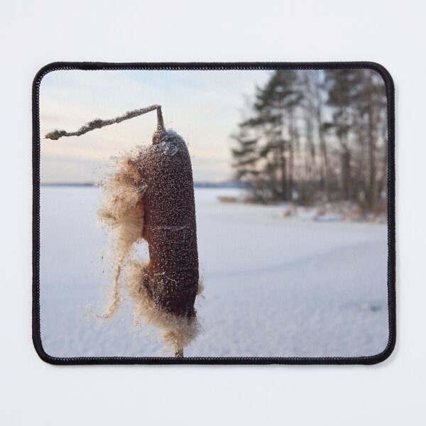 Item preview, Bulrush exploded. Nokia 2025 designed and sold by Jouko Lehto Photography.