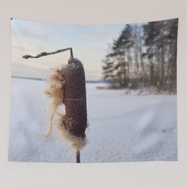 Item preview, Bulrush exploded. Nokia 2025 designed and sold by Jouko Lehto Photography.