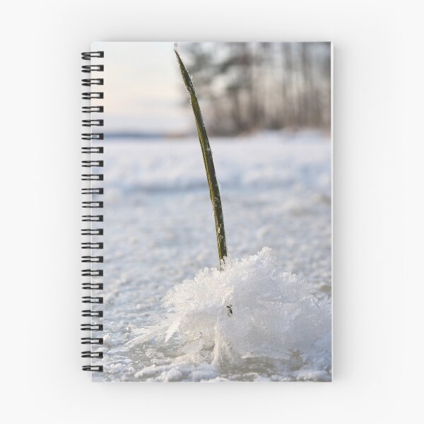 Item preview, Ice flower time 2 . Nokia 2025 designed and sold by Jouko Lehto Photography.