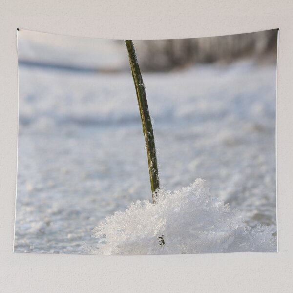 Item preview, Ice flower time 2 . Nokia 2025 designed and sold by Jouko Lehto Photography.