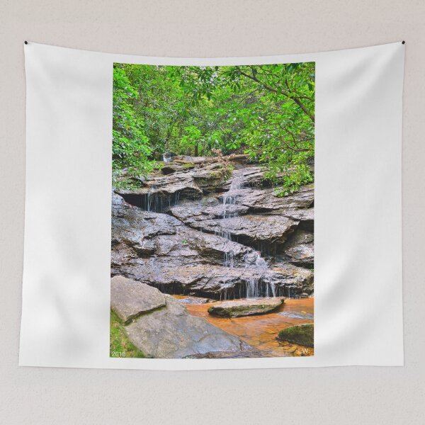 Item preview, Waterfall At Stumphouse Tunnel Oconee County South Carolina Vertical designed and sold by LisaWootenPhoto.