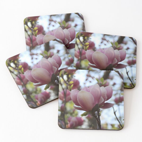 Item preview, Pink Magnolia Bloom in Spring Sun designed and sold by vikko-art.