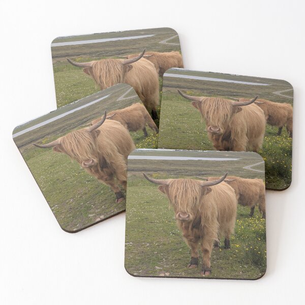 Item preview, Highland Cow Photograph designed and sold by orchiddesignco.