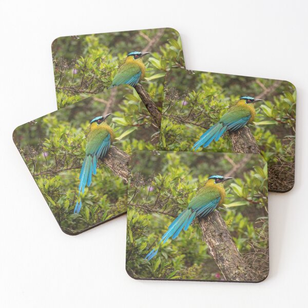 Item preview, Barranquero in Colombia designed and sold by Julie Navitka.