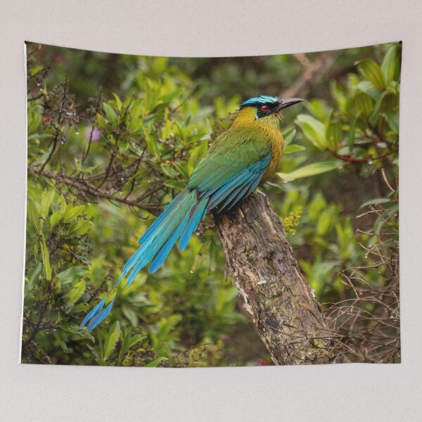 Item preview, Barranquero in Colombia designed and sold by Julie Navitka.