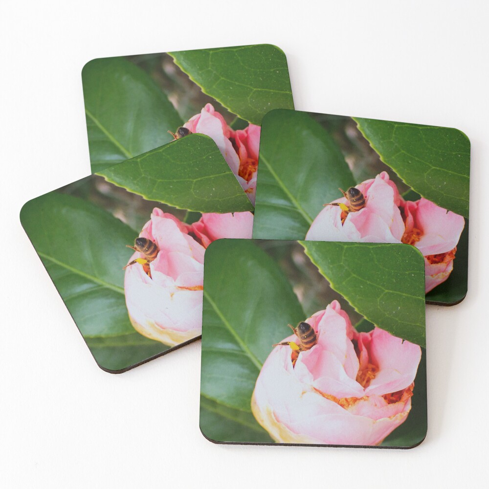 Item preview, Coasters (Set of 4) designed and sold by Scuba-Rae.