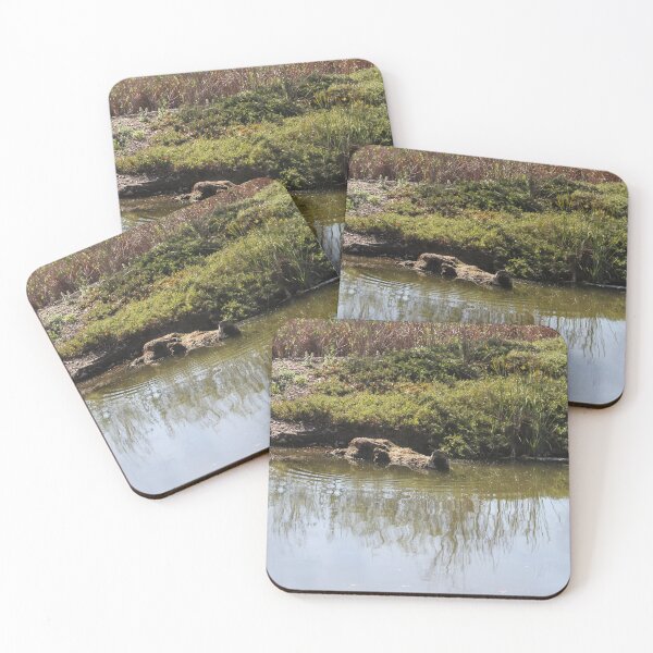 Item preview, Croc or Rock? designed and sold by heatherfriedman.