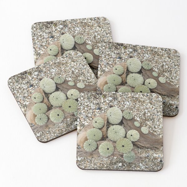 Item preview, Kina, a native New Zealand sea urchin designed and sold by KiwiImages.