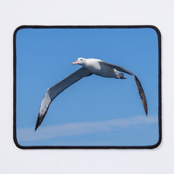 Item preview, Albatross Over Bremer Skies designed and sold by Jan Fijolek.