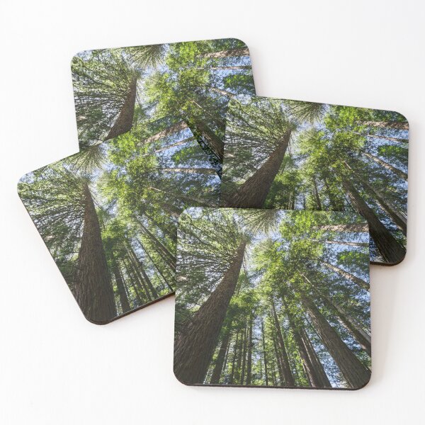 Item preview, Reaching for the Sky designed and sold by Jan Fijolek.