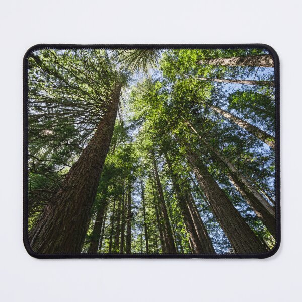 Item preview, Reaching for the Sky designed and sold by Jan Fijolek.