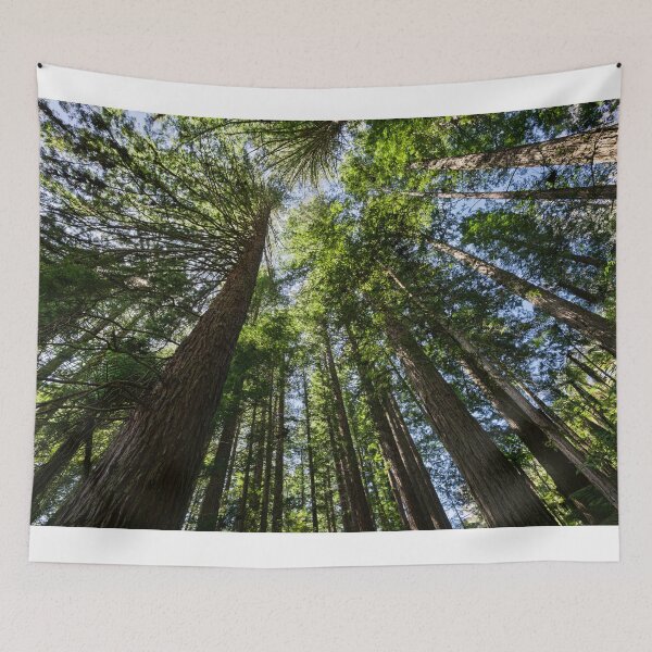 Item preview, Reaching for the Sky designed and sold by Jan Fijolek.