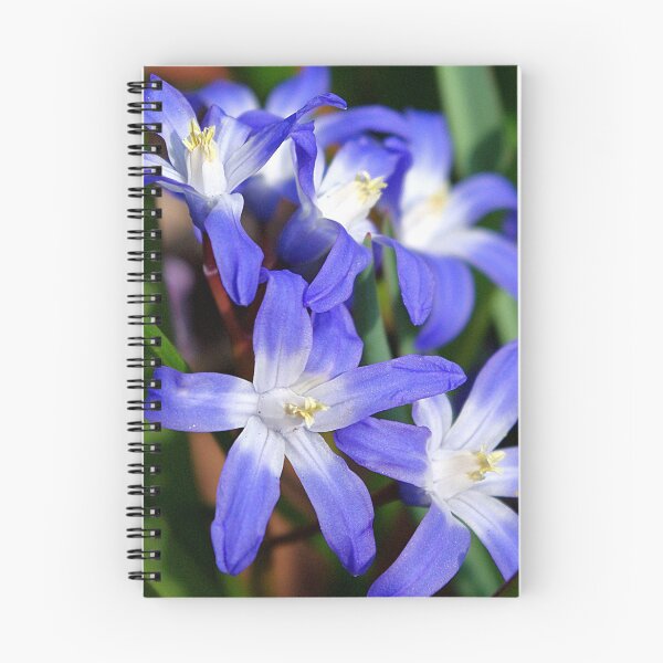 Item preview, Early Spring Blue - Chionodoxa designed and sold by rvjames.