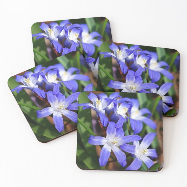 Item preview, Early Spring Blue - Chionodoxa designed and sold by rvjames.