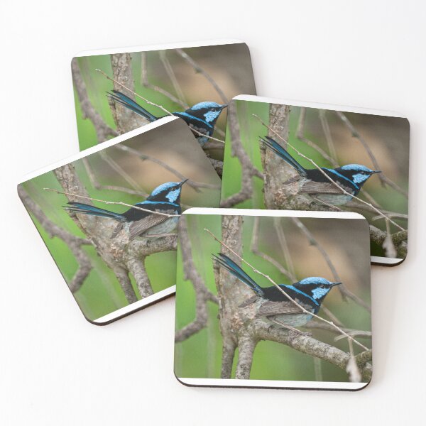 Item preview, Superb Fairy Wren designed and sold by D-GaP.