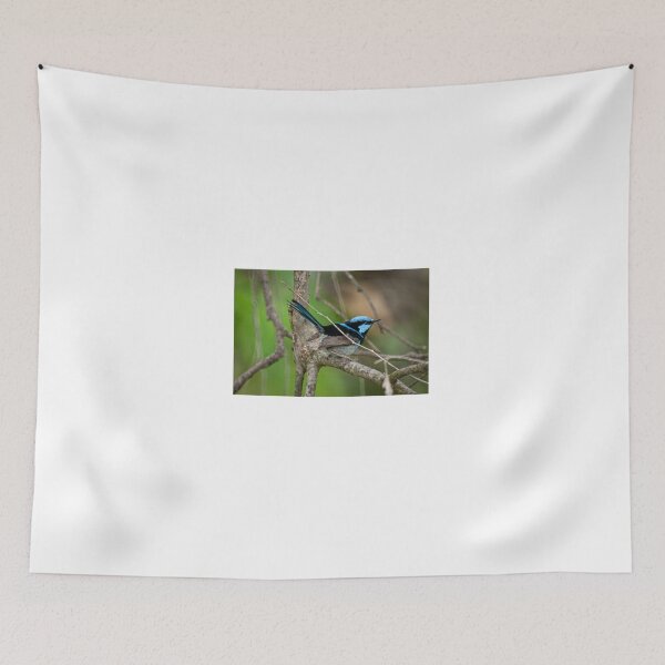 Item preview, Superb Fairy Wren designed and sold by D-GaP.
