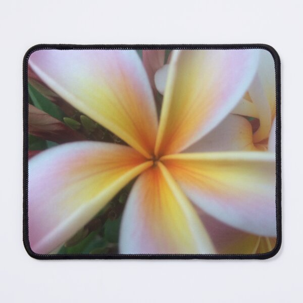 Item preview, Fragipani designed and sold by Tones1524.