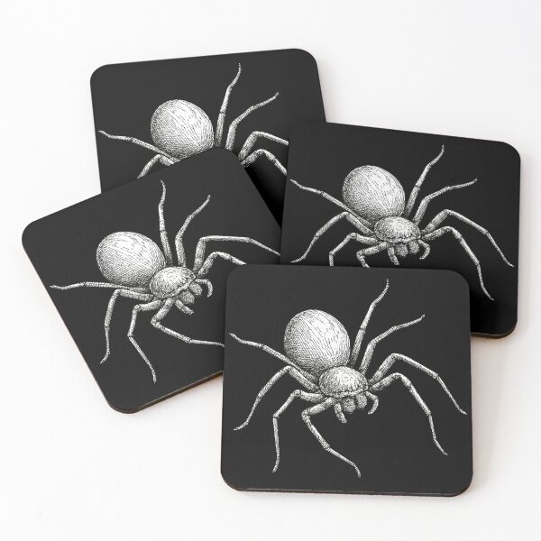 Item preview, Australian Huntsman Spider Sketch designed and sold by Juzzy72.