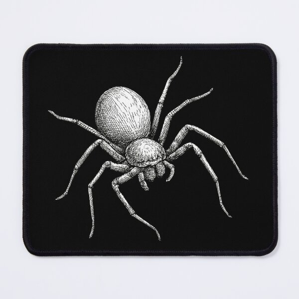 Item preview, Australian Huntsman Spider Sketch designed and sold by Juzzy72.