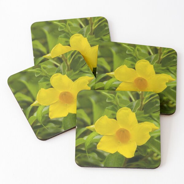 Item preview, Pretty little flower designed and sold by NBCre8ive.