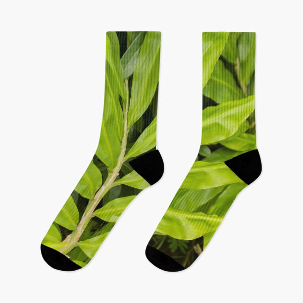 Item preview, Plant life designed and sold by NBCre8ive.