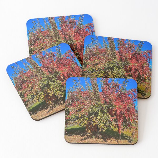 Item preview, Foliage Glory designed and sold by ZeroTechnique.