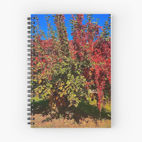 Item preview, Foliage Glory designed and sold by ZeroTechnique.