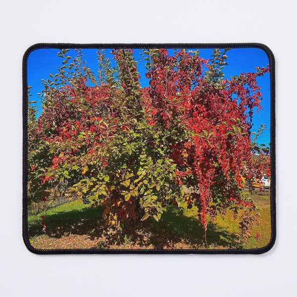 Item preview, Foliage Glory designed and sold by ZeroTechnique.