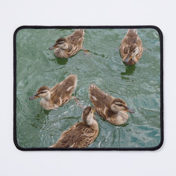 Item preview, Little Duckling Family Swimming designed and sold by BackyardBirder.