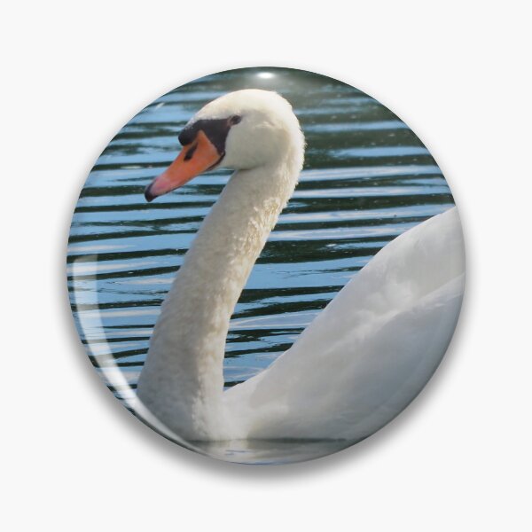 Item preview, Mute Swan Swimming In a Pond designed and sold by BackyardBirder.