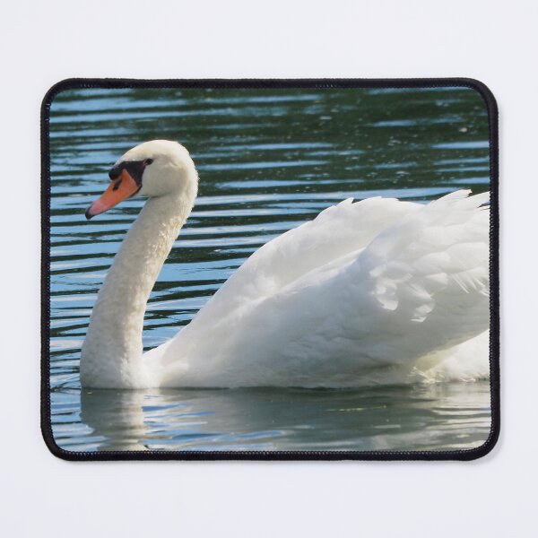 Item preview, Mute Swan Swimming In a Pond designed and sold by BackyardBirder.