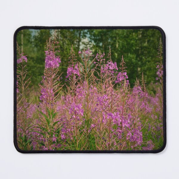 Item preview, Alaskan Fireweed designed and sold by Kayley Adventures.
