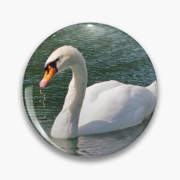 Item preview, Mute Swan With Food In Its Bill designed and sold by BackyardBirder.