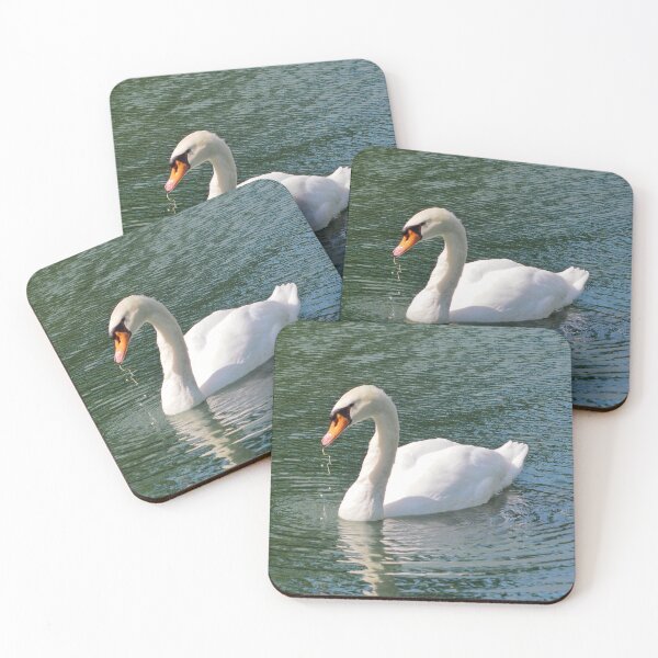 Item preview, Mute Swan With Food In Its Bill designed and sold by BackyardBirder.
