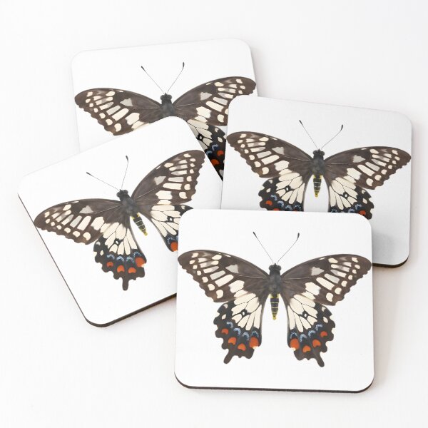 Item preview, Dainty Swallowtail (Papilio anactus) designed and sold by HOMETOWN86.