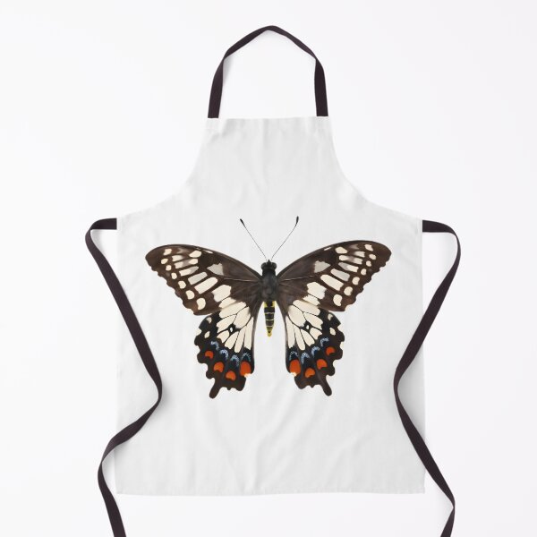 Item preview, Dainty Swallowtail (Papilio anactus) designed and sold by HOMETOWN86.