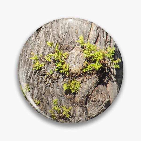 Item preview, Sprouting Tree Trunk designed and sold by heatherfriedman.