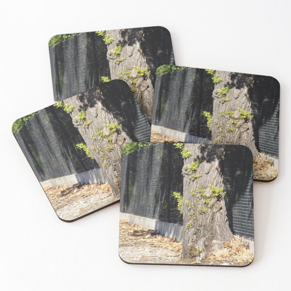 Item preview, Sprouting Tree Trunk designed and sold by heatherfriedman.