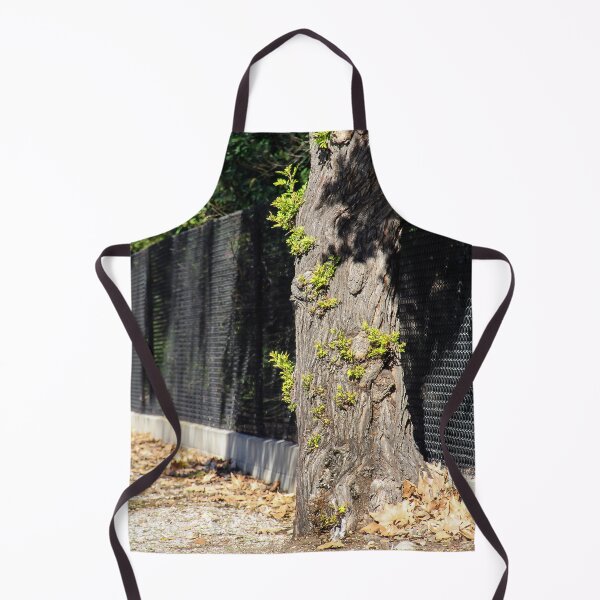 Item preview, Sprouting Tree Trunk designed and sold by heatherfriedman.