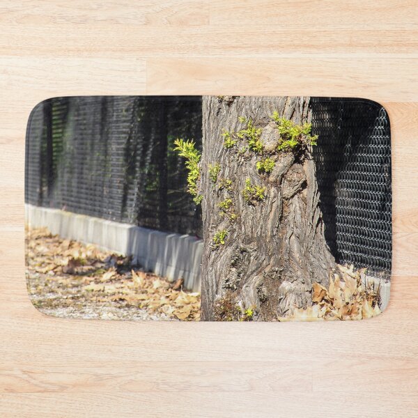 Item preview, Sprouting Tree Trunk designed and sold by heatherfriedman.