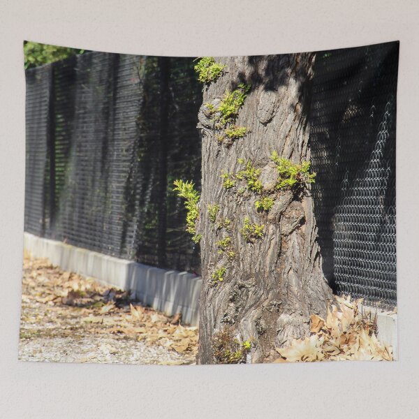 Item preview, Sprouting Tree Trunk designed and sold by heatherfriedman.