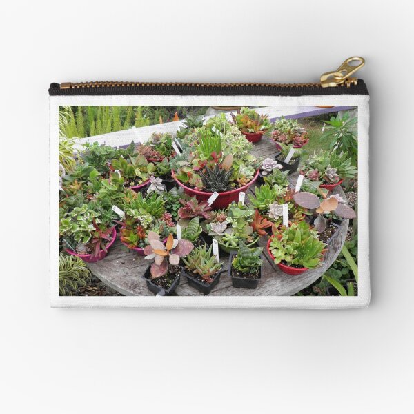 Regalos y productos: Suculentas En Lavanda | Redbubble