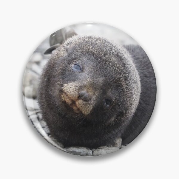 Item preview, Seal Pup Love  designed and sold by AntarcticShop.