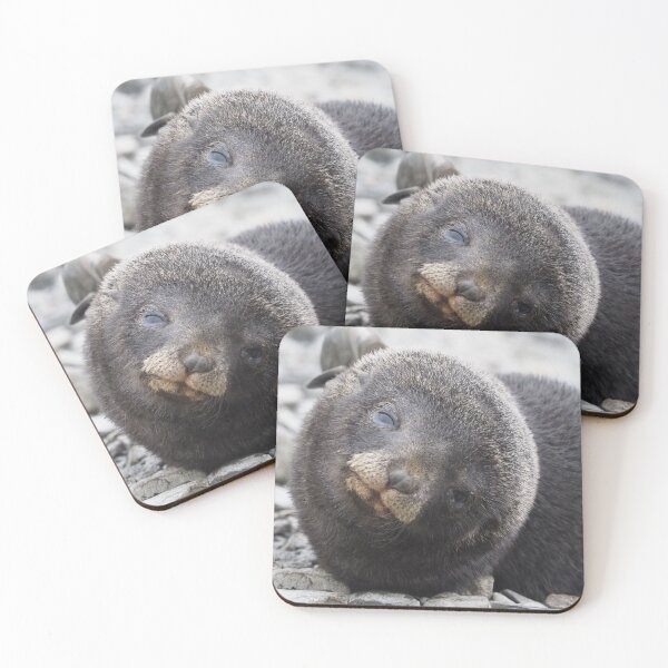 Item preview, Seal Pup Love  designed and sold by AntarcticShop.